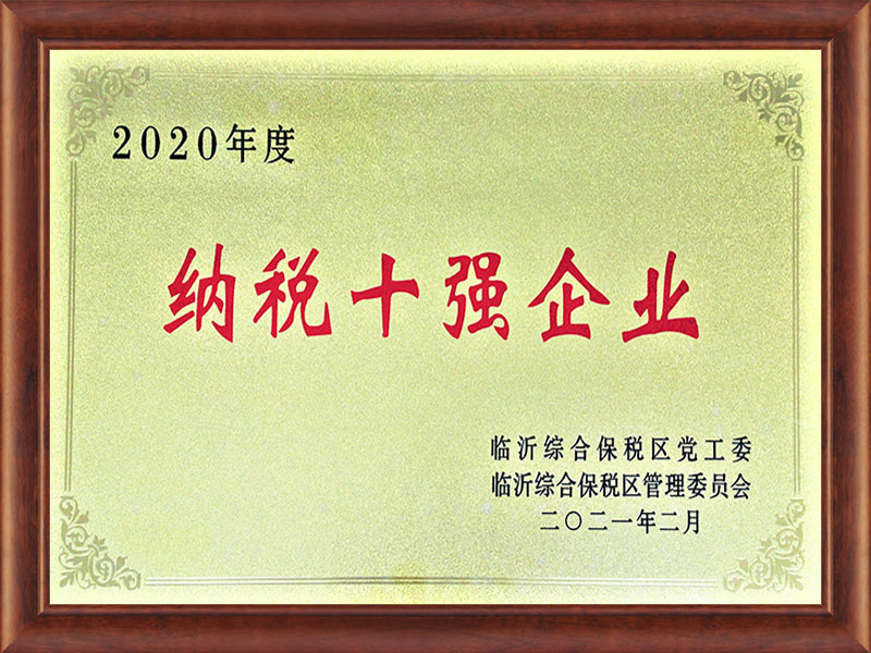 2020年度纳税十强企业